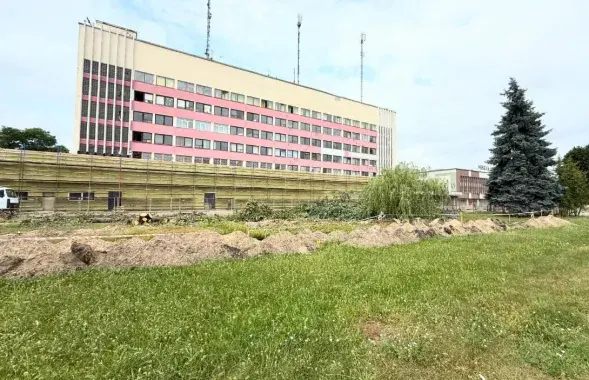 Елкі ў Гомелі спілавалі дзеля забаўляльнага цэнтра
