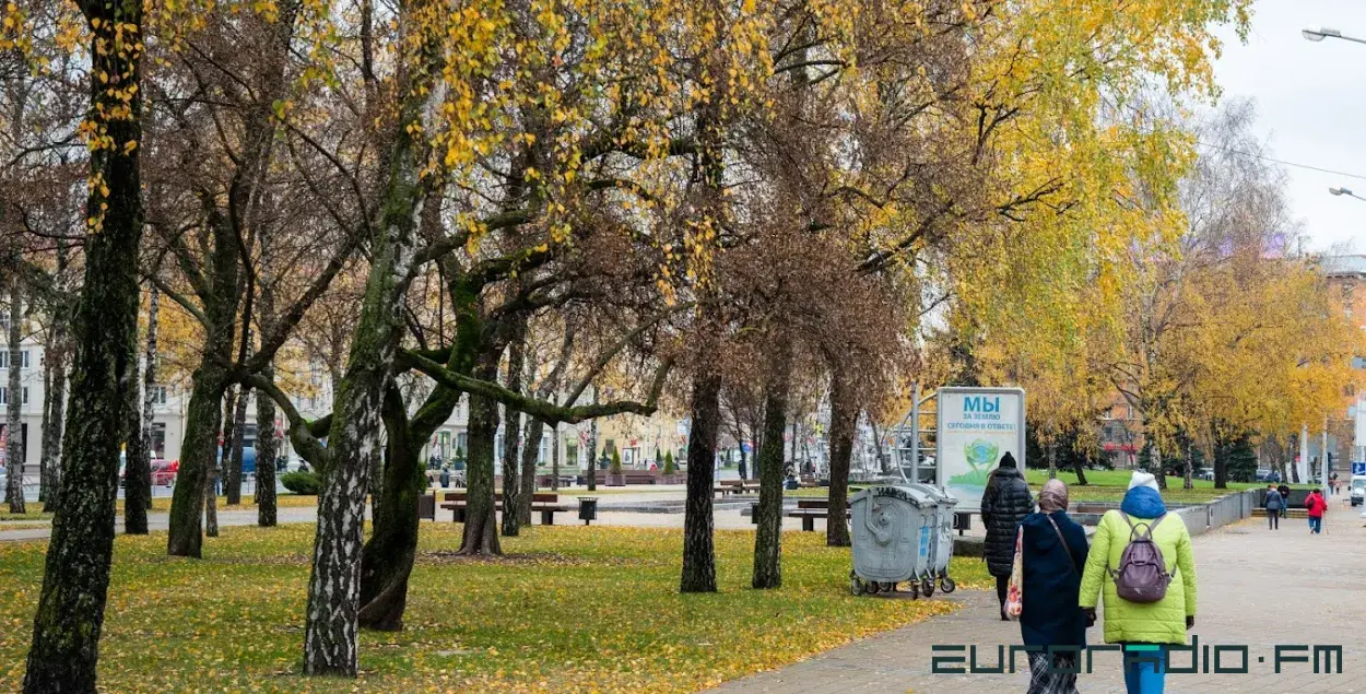 Осень в Беларуси / Еврорадио&nbsp;
