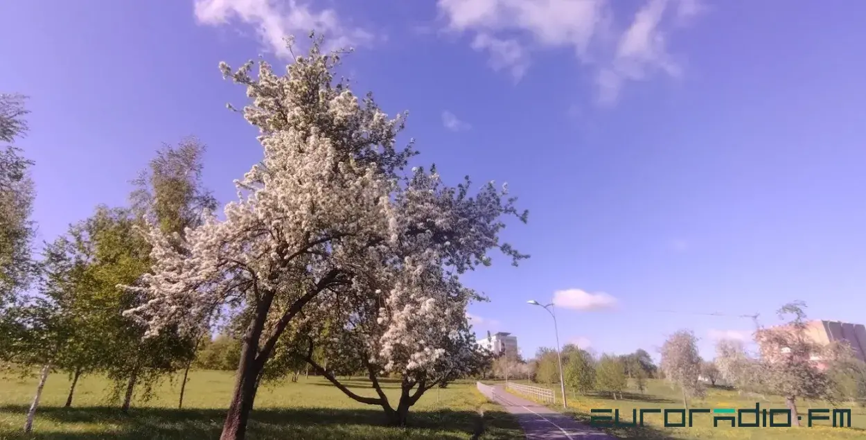 Весна в Беларуси / Еврорадио&nbsp;

