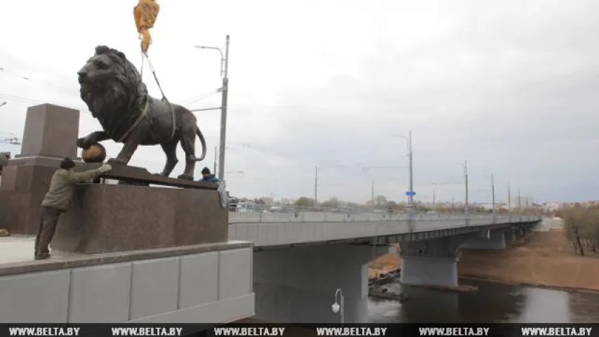 Львы ў Магілёве (фота, відэа)