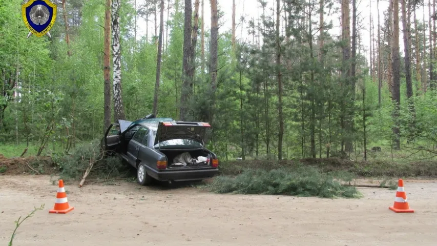 Жыхар Светлагорска ўзяў на сябе віну жонкі за аварыю, бо ў сям'і 5 дзяцей