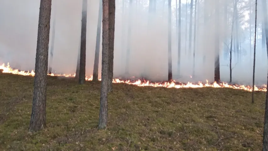 На Альманскіх балотах працягваюць тушыць пажар