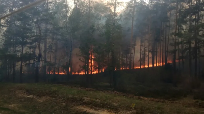 На Альманскіх балотах працягваюць тушыць пажар