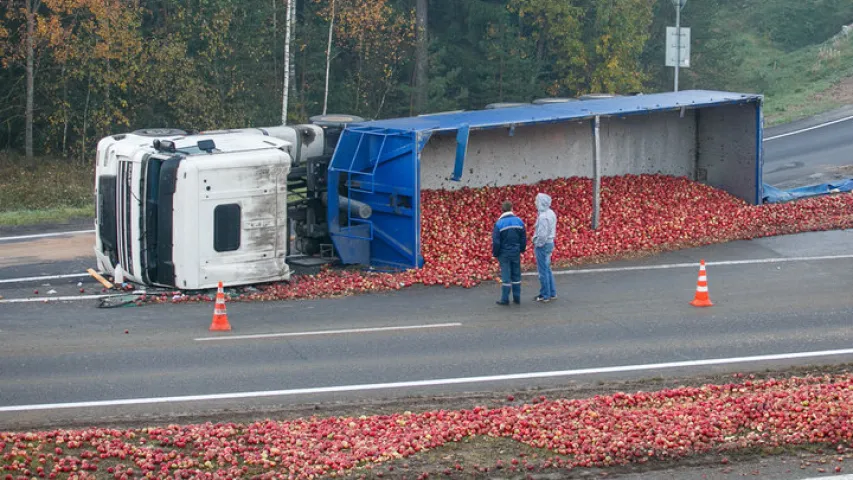 Трасу М1 засыпала яблыкамі (фота)