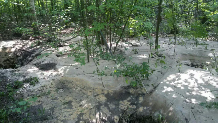 Беларускія памежнікі спынілі незаконную здабычу бурштыну (фота)