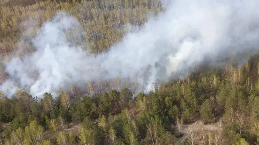 Каля Брэста ліквідавалі вялікі пажар, які набліжаўся да газавай запраўкі