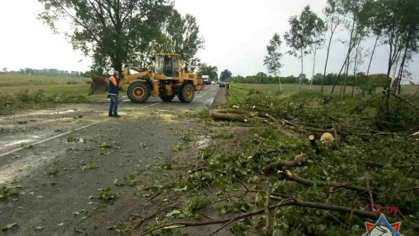 Ратавальнікі распавялі пра наступствы шквалістага ветру і навальніц у Беларусі