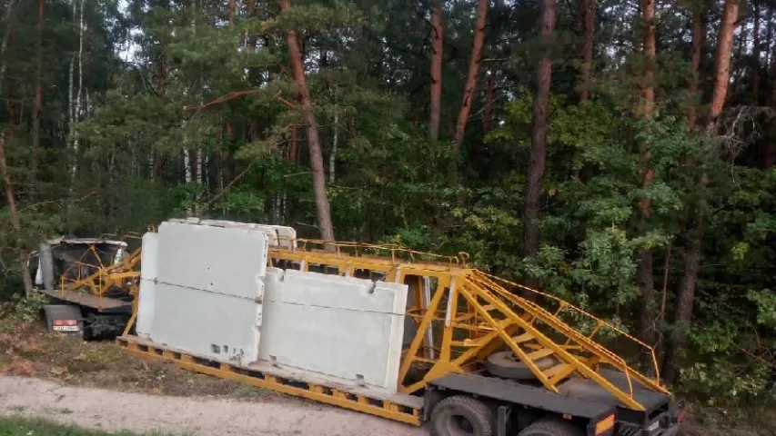 У Кобрынскім раёне грузавік з'ехаў з трасы і зламаў дрэва (фота)