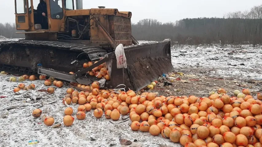 В России уничтожили 2,5 тонны помело из Беларуси