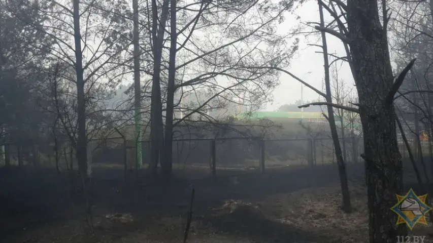 Каля Брэста ліквідавалі вялікі пажар, які набліжаўся да газавай запраўкі