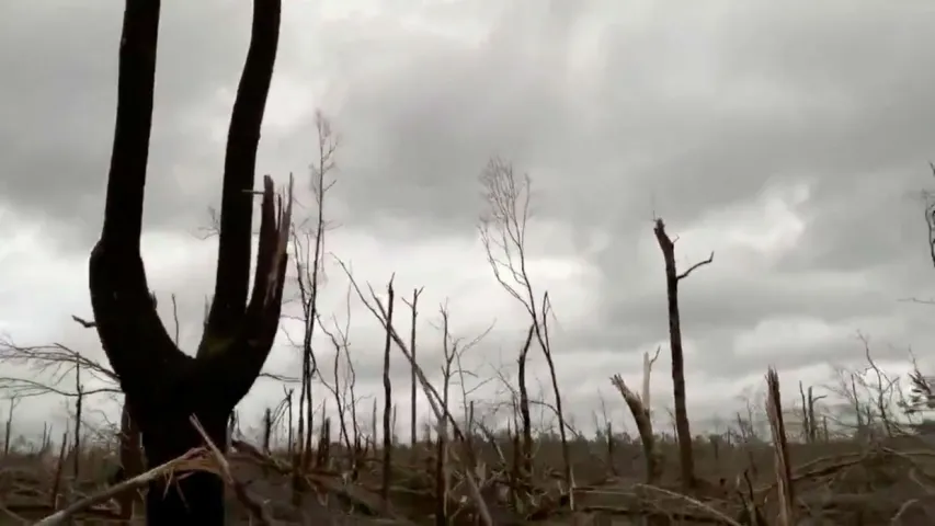 Падчас тарнада ў ЗША загінулі больш за 20 чалавек