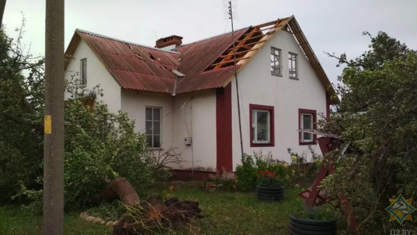 Наступствы непагадзі: падзенні сотняў дрэваў і адна адарваная рука (фота, відэа)