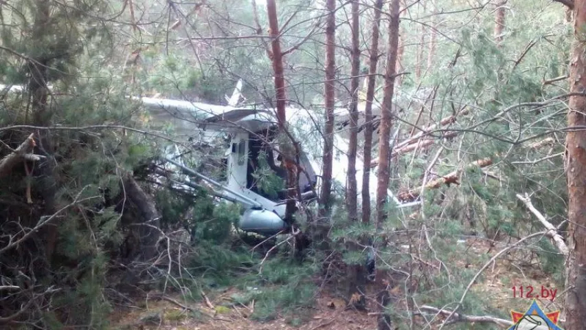 У Мазырскім раёне ў лесе здзейсніў вымушаную пасадку самалёт (фота)