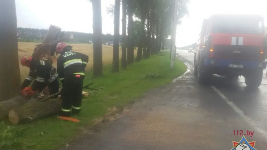 Ратавальнікі распавялі пра наступствы шквалістага ветру і навальніц у Беларусі