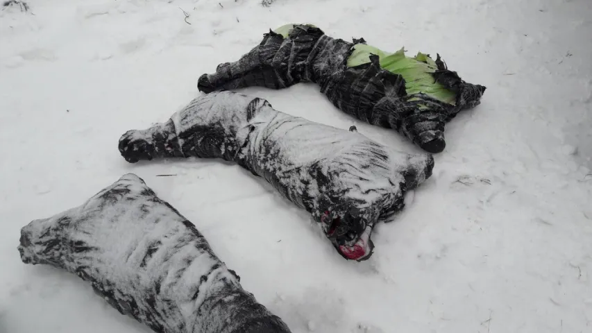 Пад Пінскам затрымалі кантрабандыстаў, якія на квадрацыкле везлі з Украіны мяса