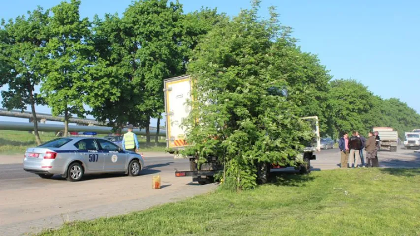 У Гродне грузавік збіў траіх чалавек на пешаходным пераходзе (фота)