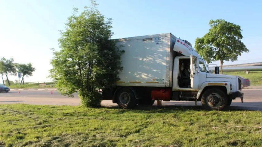 У Гродне грузавік збіў траіх чалавек на пешаходным пераходзе (фота)