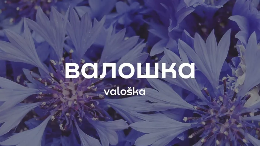 Валошка