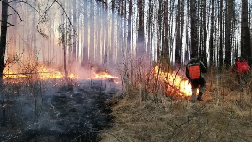 Пажар у Столінскім раёне заняў ужо 400 га, яго тушаць з верталётаў