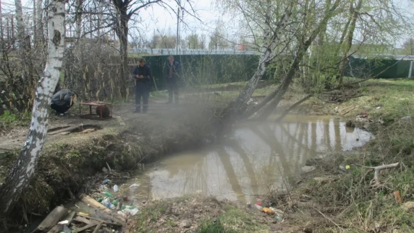 У Магілёве злавілі бабра, які вырашыў пасяліцца ў горадзе (фота)