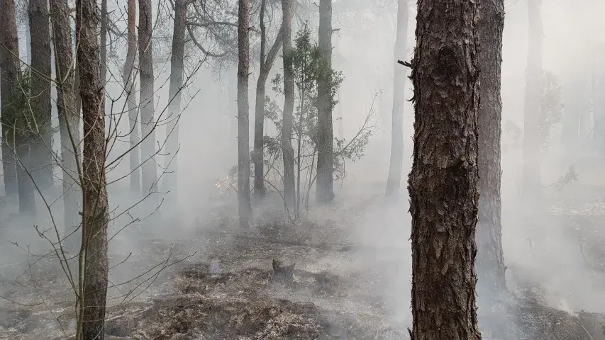 Каля Брэста ліквідавалі вялікі пажар, які набліжаўся да газавай запраўкі