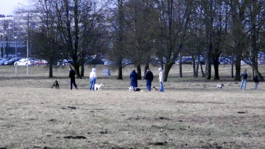 Фотафакт: Парк дружбы народаў за 20 хвілін да пачатку дазволенай акцыі