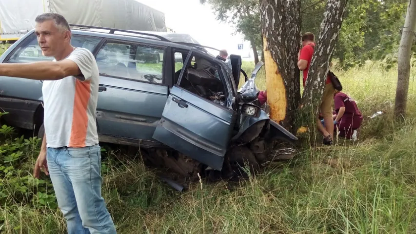 Пад Брэстам машына ўрэзалася ў дрэва, кіроўца цудам выжыў