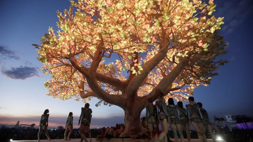 Белоруска стала одной из самых модных на Burning Man 2017