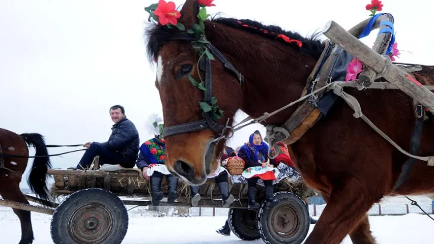 На Гомельшчыне адсвяткавалі Масленіцу — сустрэлі чырачку (фотарэпартаж)