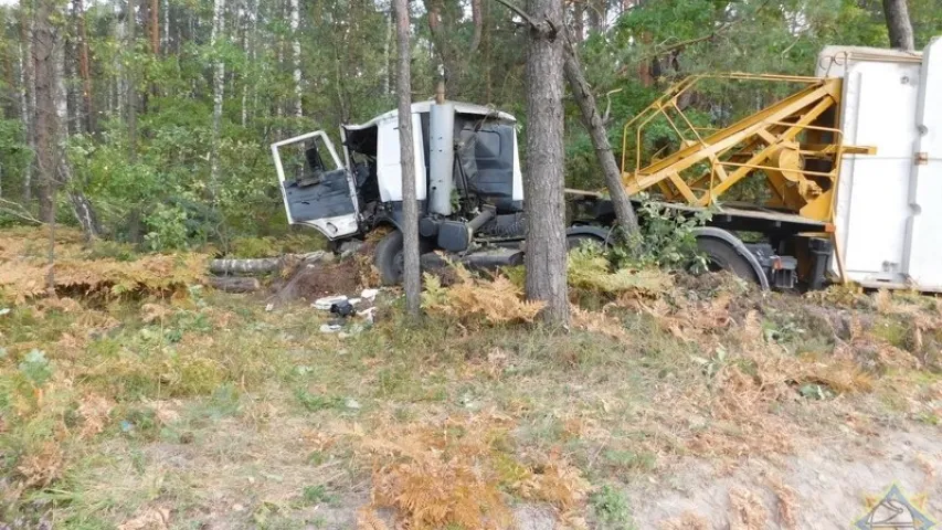 У Кобрынскім раёне грузавік з'ехаў з трасы і зламаў дрэва (фота)