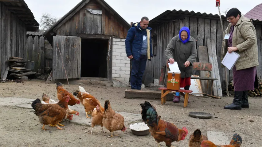 Як галасавалі на Палессі: са скрыняй па вёсках. Фотарэпартаж