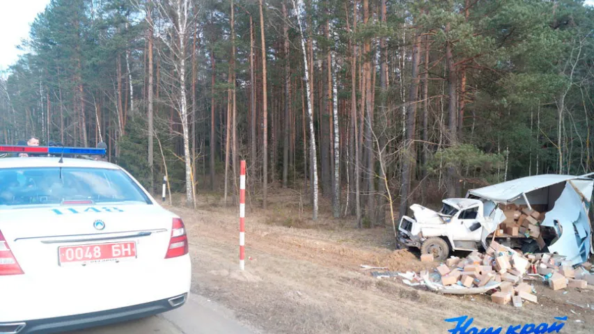 Фура з каровамі пад Баранавічамі пратараніла грузавік з кандытарскімі вырабамі