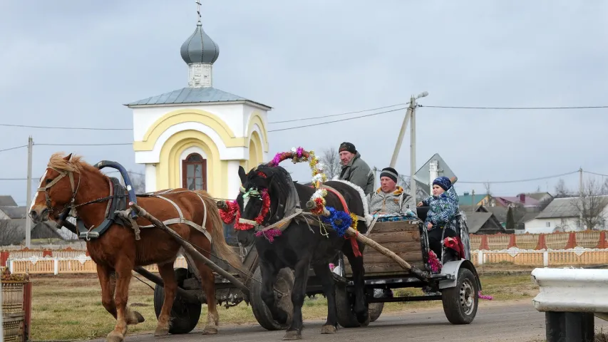 Як у беларускай вёсцы адзначаюць Улассе — свята ў гонар каровак і коней