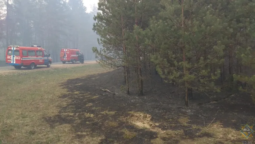 Амаль 200 чалавек змагаюцца з лясным пажарам пад Гроднам