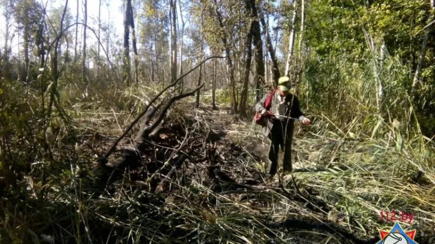 У "Нацыянальным парку Прыпяцкі" ліквідавалі буйны пажар (фота)