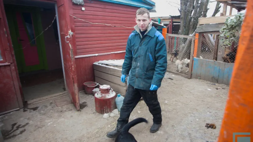 Як зімой жыве сабачы прытулак на ўскрайку Гродна (фота)