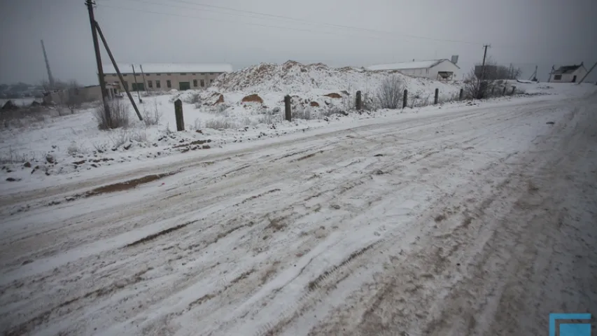 Як зімой жыве сабачы прытулак на ўскрайку Гродна (фота)