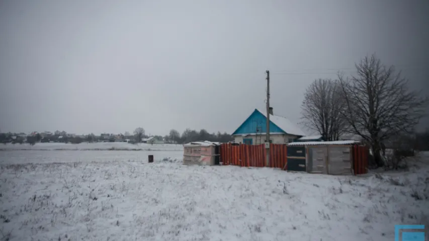 Як зімой жыве сабачы прытулак на ўскрайку Гродна (фота)