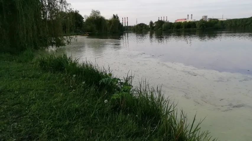 У цэнтры Мінска ў Свіслач злілі смярдзючую субстанцыю, яе не прыбіраюць два дні