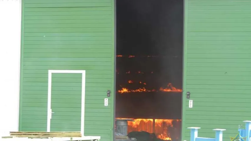 У Віцебску ліквідавалі буйны пажар на лесапільні (фота)