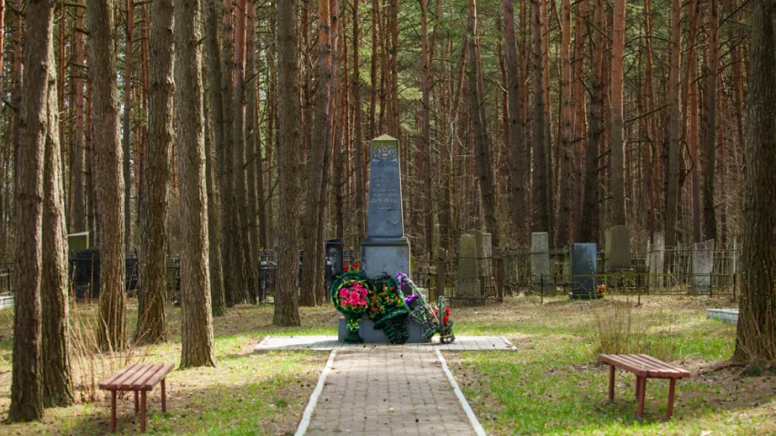 Цыганы, тушаны вожык з бульбай і тэст на цнатлівасць