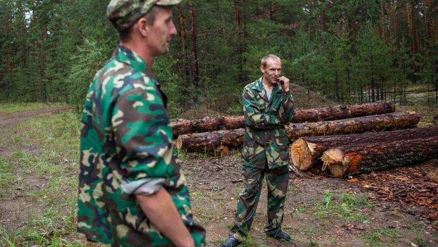 "Наша драўніна рассылаецца па ўсім свеце". Як прадаюць "чарнобыльскі" лес