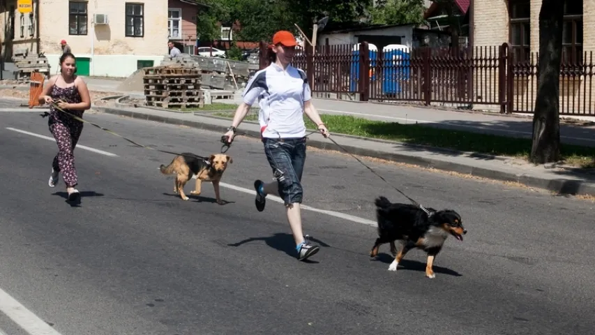 У Гродне на марафоне беглі нявесты, сабакі ды слінгамамы (фота)