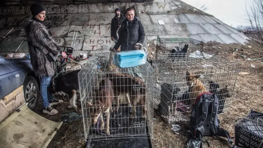 З'явіліся фота Ірпеня, вызваленага ад расійскіх войскаў