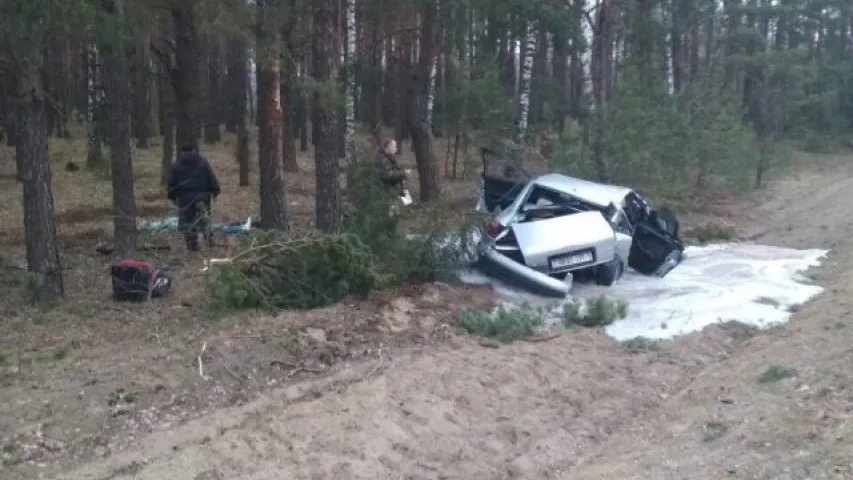 Пад Іванавам легкавік урэзаўся ў дрэва, загінулі два чалавекі