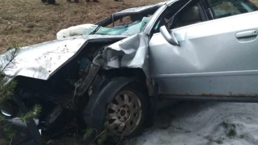 Пад Іванавам легкавік урэзаўся ў дрэва, загінулі два чалавекі