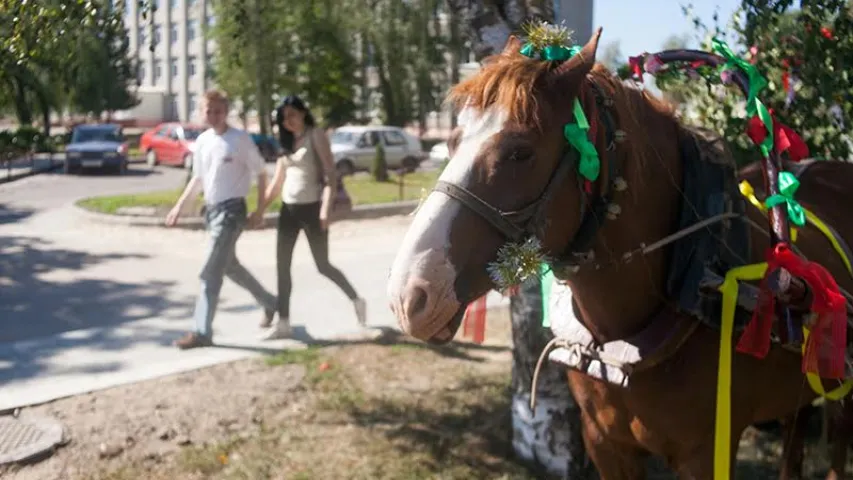 У Зэльве на кірмашы прадавалі коняў, як трыста год таму (фота, відэа)