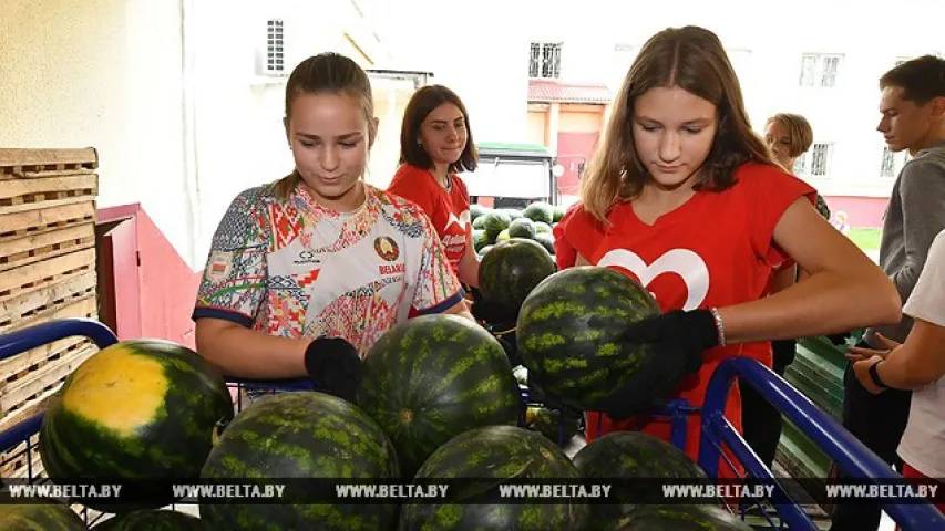 Сын Лукашэнкі прывез кавуны і бульбу з прэзідэнцкага поля ў дом-інтэрнат