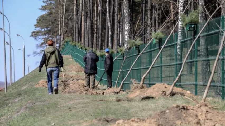 У Курапатах знішчылі ўсе металічныя крыжы з боку МКАД