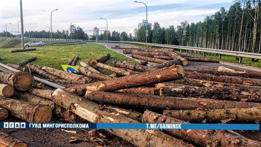 На МКАД перакуліўся прычэп лесавоза, бярвёны часткова перакрылі рух